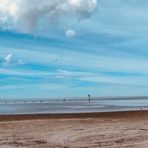 Meet your Posher, Alan